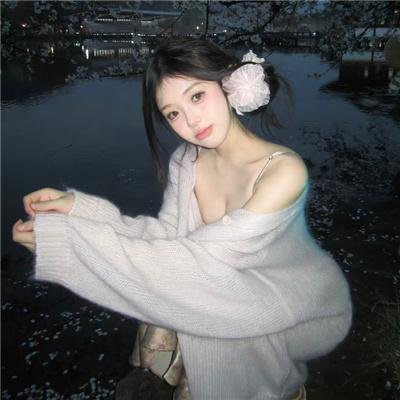 雁南飞
